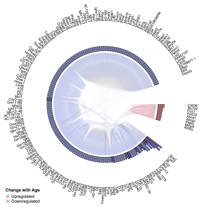 chord_genes
